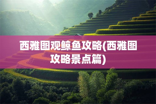 西雅图观鲸鱼攻略(西雅图攻略景点篇)