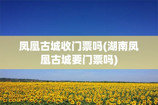 凤凰古城收门票吗(湖南凤凰古城要门票吗)