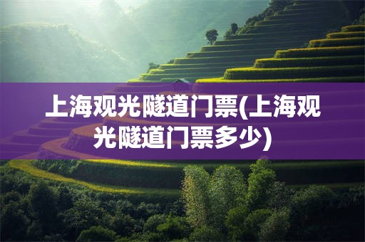 上海观光隧道门票(上海观光隧道门票多少)