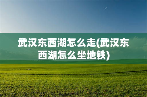 武汉东西湖怎么走(武汉东西湖怎么坐地铁)