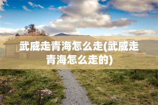 武威走青海怎么走(武威走青海怎么走的)