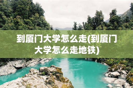 到厦门大学怎么走(到厦门大学怎么走地铁)