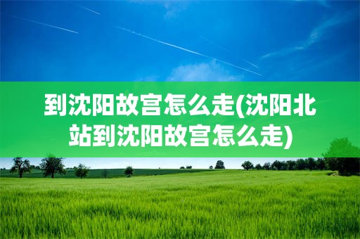 到沈阳故宫怎么走(沈阳北站到沈阳故宫怎么走)