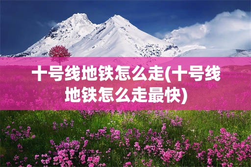 十号线地铁怎么走(十号线地铁怎么走最快)
