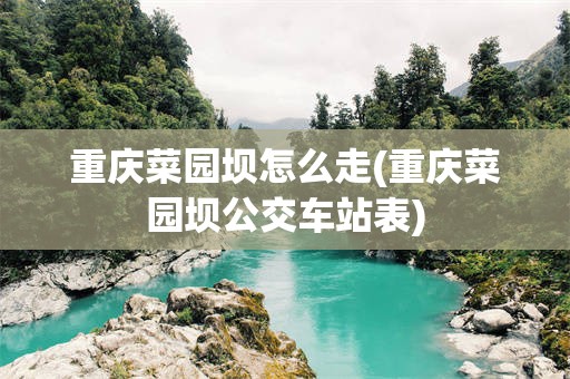 重庆菜园坝怎么走(重庆菜园坝公交车站表)