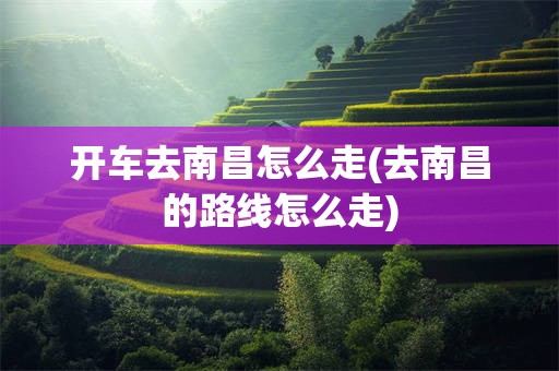 开车去南昌怎么走(去南昌的路线怎么走)