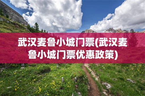 武汉麦鲁小城门票(武汉麦鲁小城门票优惠政策)