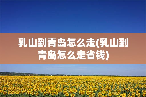 乳山到青岛怎么走(乳山到青岛怎么走省钱)