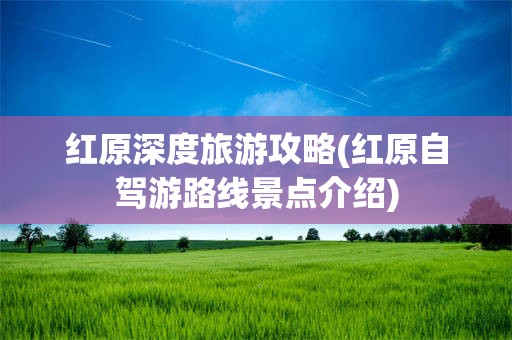 红原深度旅游攻略(红原自驾游路线景点介绍)