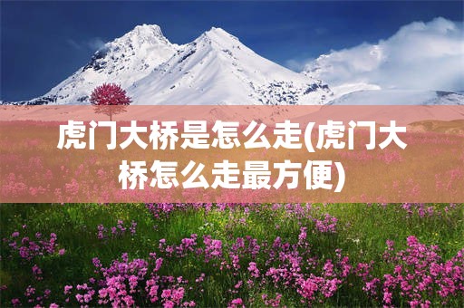 虎门大桥是怎么走(虎门大桥怎么走最方便)