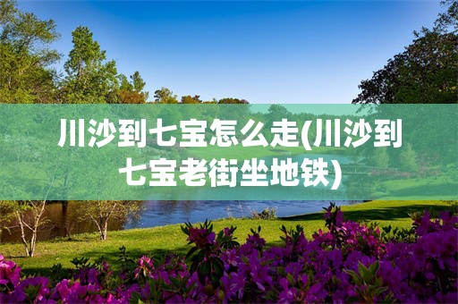 川沙到七宝怎么走(川沙到七宝老街坐地铁)