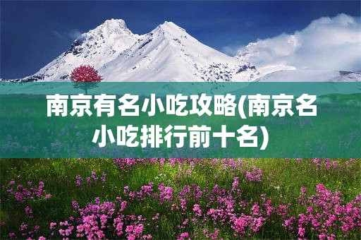 南京有名小吃攻略(南京名小吃排行前十名)