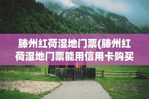滕州红荷湿地门票(滕州红荷湿地门票能用信用卡购买吗)