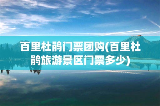 百里杜鹃门票团购(百里杜鹃旅游景区门票多少)