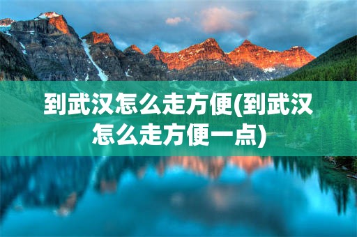 到武汉怎么走方便(到武汉怎么走方便一点)
