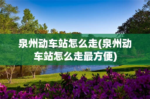 泉州动车站怎么走(泉州动车站怎么走最方便)