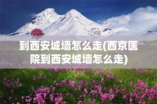 到西安城墙怎么走(西京医院到西安城墙怎么走)
