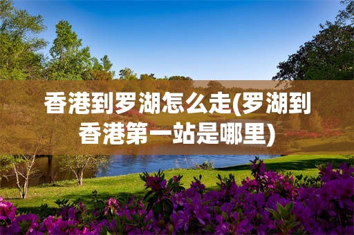香港到罗湖怎么走(罗湖到香港第一站是哪里)