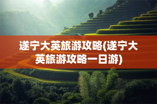 遂宁大英旅游攻略(遂宁大英旅游攻略一日游)