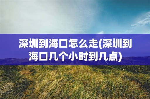 深圳到海口怎么走(深圳到海口几个小时到几点)