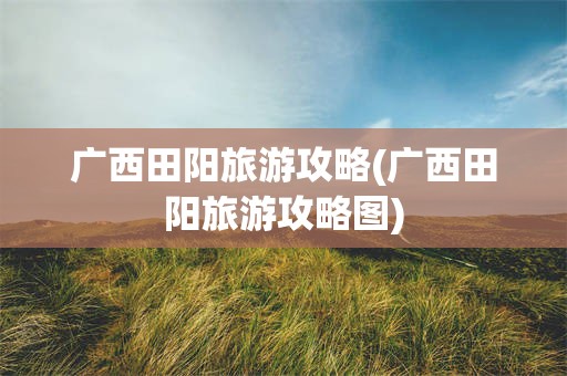 广西田阳旅游攻略(广西田阳旅游攻略图)