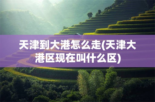 天津到大港怎么走(天津大港区现在叫什么区)