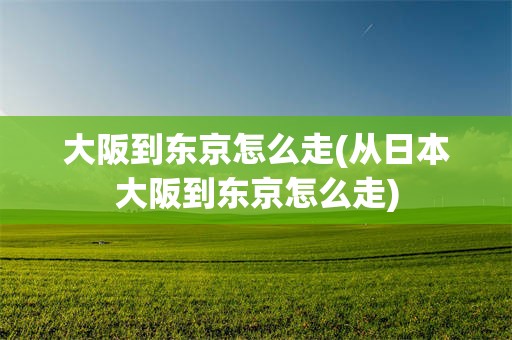 大阪到东京怎么走(从日本大阪到东京怎么走)