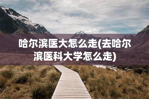 哈尔滨医大怎么走(去哈尔滨医科大学怎么走)