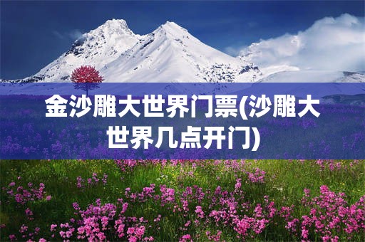 金沙雕大世界门票(沙雕大世界几点开门)