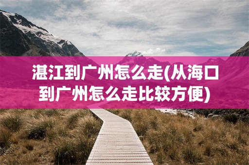 湛江到广州怎么走(从海口到广州怎么走比较方便)