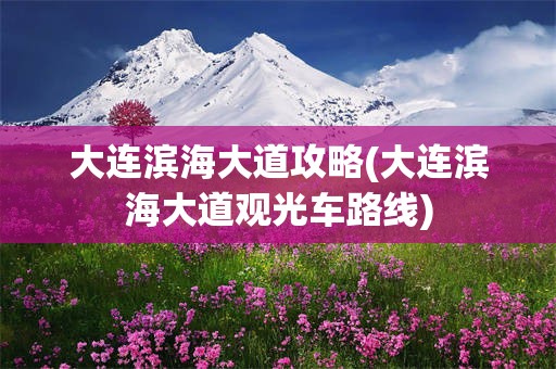 大连滨海大道攻略(大连滨海大道观光车路线)