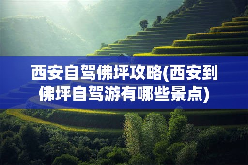 西安自驾佛坪攻略(西安到佛坪自驾游有哪些景点)