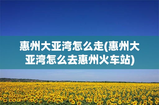 惠州大亚湾怎么走(惠州大亚湾怎么去惠州火车站)