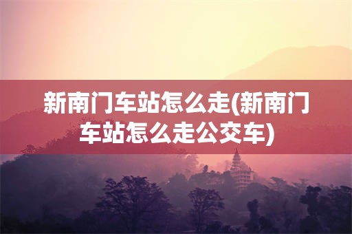 新南门车站怎么走(新南门车站怎么走公交车)