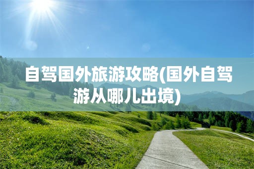 自驾国外旅游攻略(国外自驾游从哪儿出境)