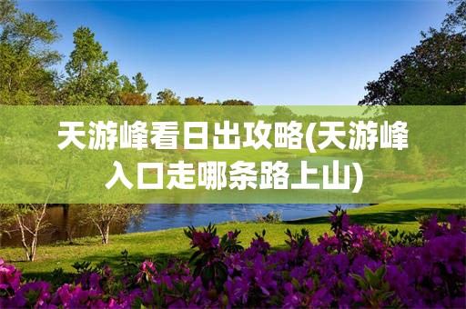 天游峰看日出攻略(天游峰入口走哪条路上山)
