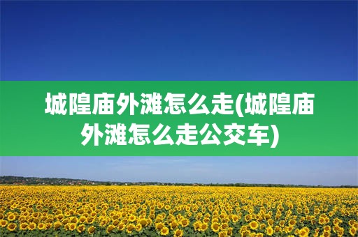 城隍庙外滩怎么走(城隍庙外滩怎么走公交车)