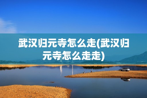 武汉归元寺怎么走(武汉归元寺怎么走走)