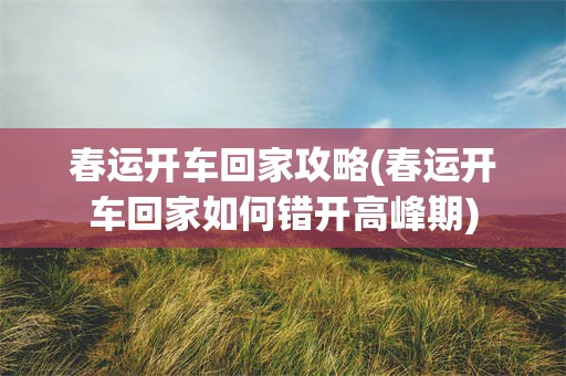 春运开车回家攻略(春运开车回家如何错开高峰期)