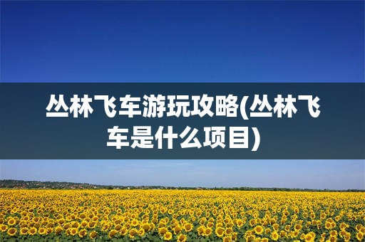 丛林飞车游玩攻略(丛林飞车是什么项目)