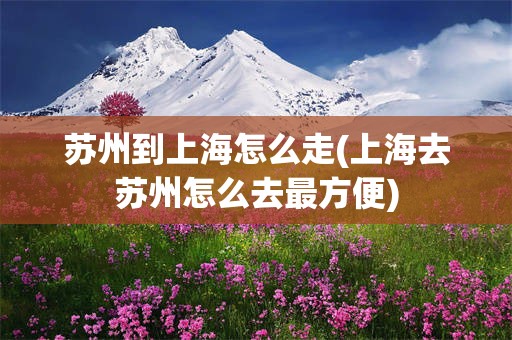 苏州到上海怎么走(上海去苏州怎么去最方便)