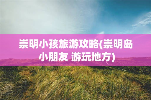 崇明小孩旅游攻略(崇明岛 小朋友 游玩地方)