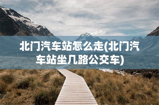 北门汽车站怎么走(北门汽车站坐几路公交车)