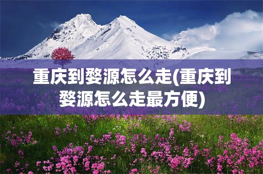 重庆到婺源怎么走(重庆到婺源怎么走最方便)