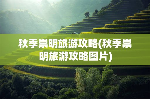 秋季崇明旅游攻略(秋季崇明旅游攻略图片)