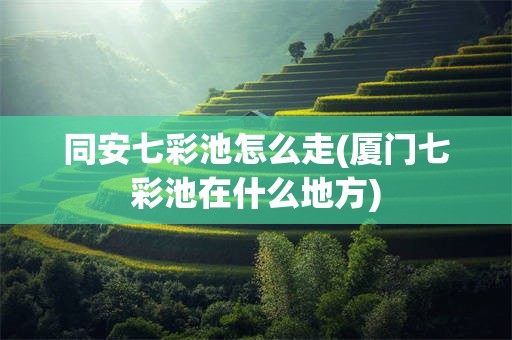 同安七彩池怎么走(厦门七彩池在什么地方)