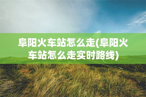 阜阳火车站怎么走(阜阳火车站怎么走实时路线)
