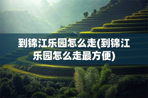 到锦江乐园怎么走(到锦江乐园怎么走最方便)