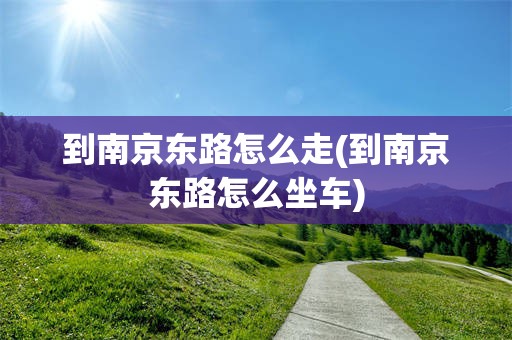 到南京东路怎么走(到南京东路怎么坐车)