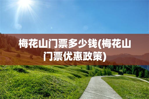 梅花山门票多少钱(梅花山门票优惠政策)